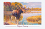 Headwaters Fine Art Cards & Posters